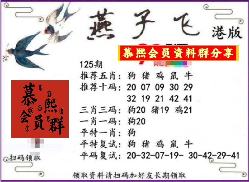 香港燕子飞
