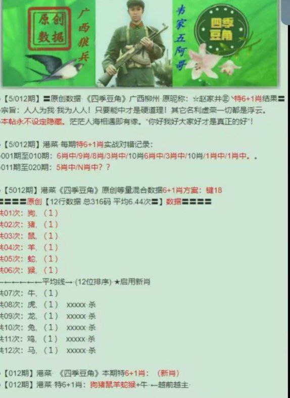 四季豆角四季豆角