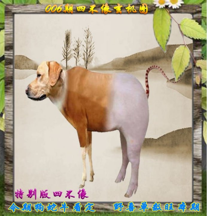 四不像四不像