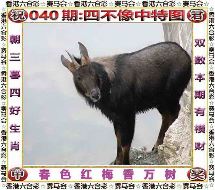 四不像四不像