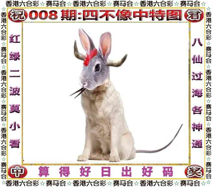 四不像四不像