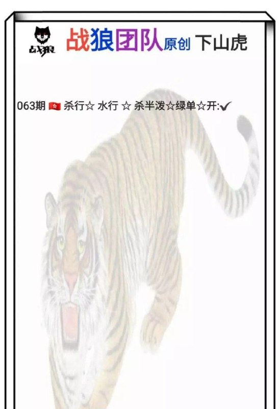 战狼团队战狼团队