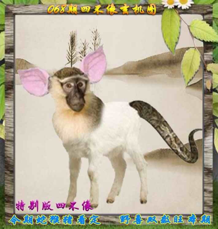四不像四不像