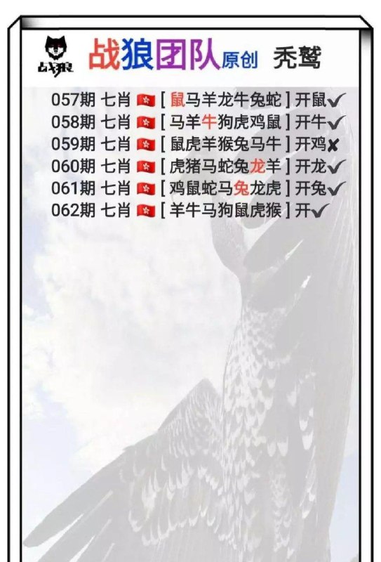 战狼团队战狼团队