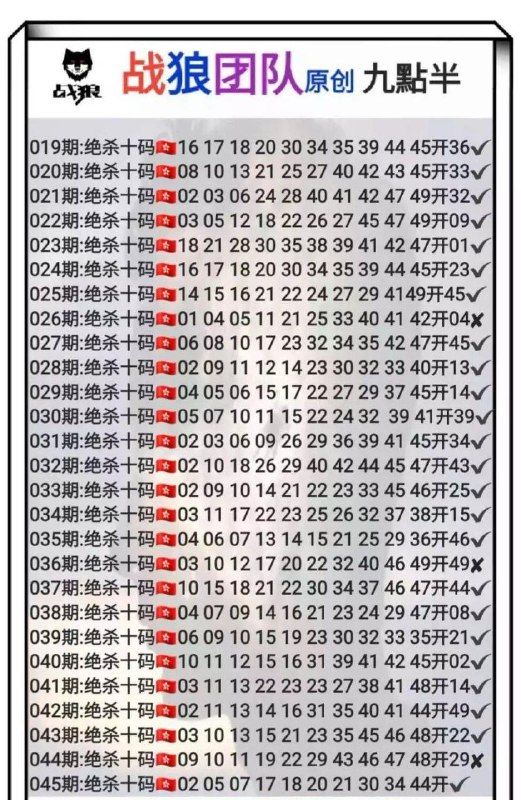 战狼团队战狼团队