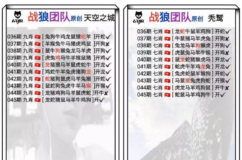 战狼团队战狼团队