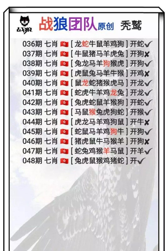 战狼团队战狼团队