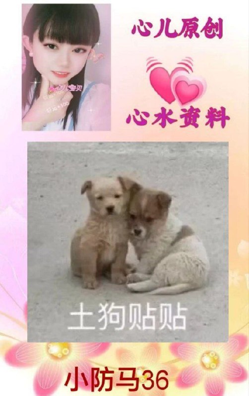 内有大神心水，精选资料以及我用钱在别的地方购买回来的稳料只按期数收个辛苦费毕竟也有很多资料要自己给钱的去买的期仅需→  1.5  仅10块钱一期一期辛苦费支持微信进群的宝子欢迎联系 楠戎 @nanrong1欢迎加入