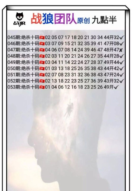 战狼团队战狼团队