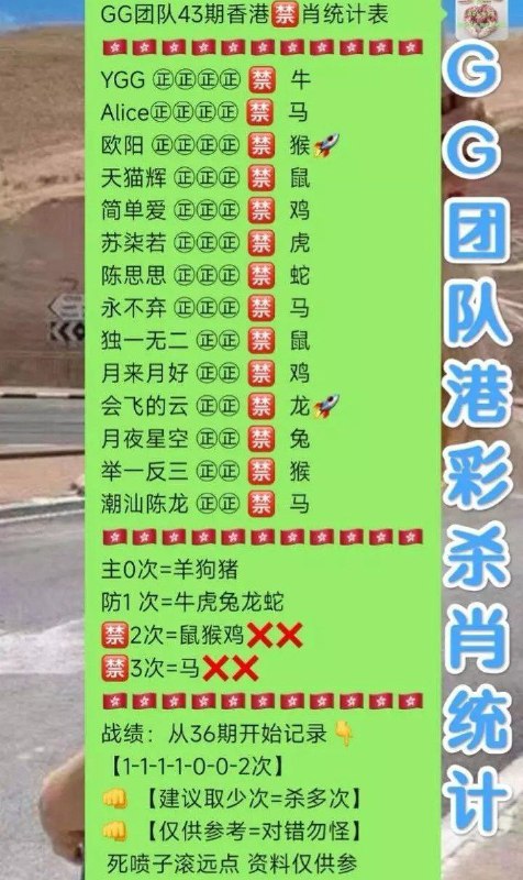 GG团队