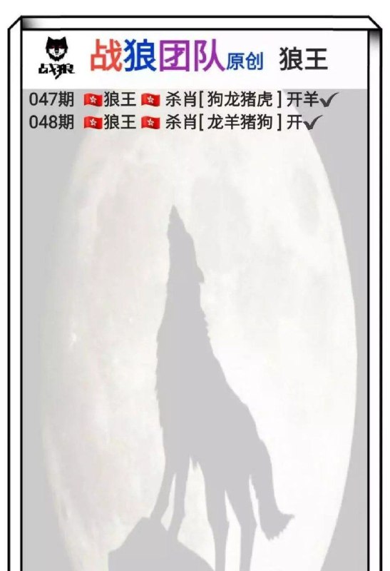 战狼团队战狼团队