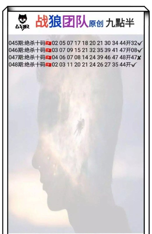 战狼团队战狼团队