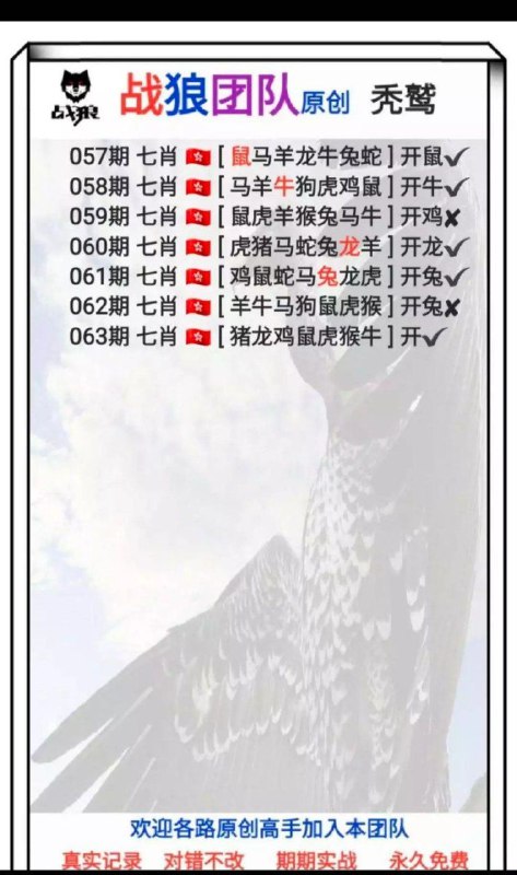 战狼团队战狼团队