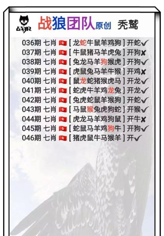 战狼团队战狼团队