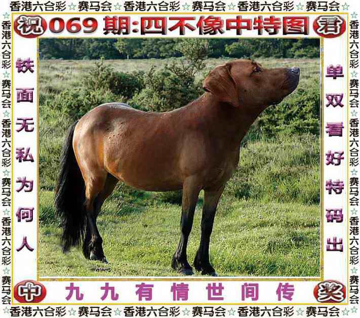 四不像四不像