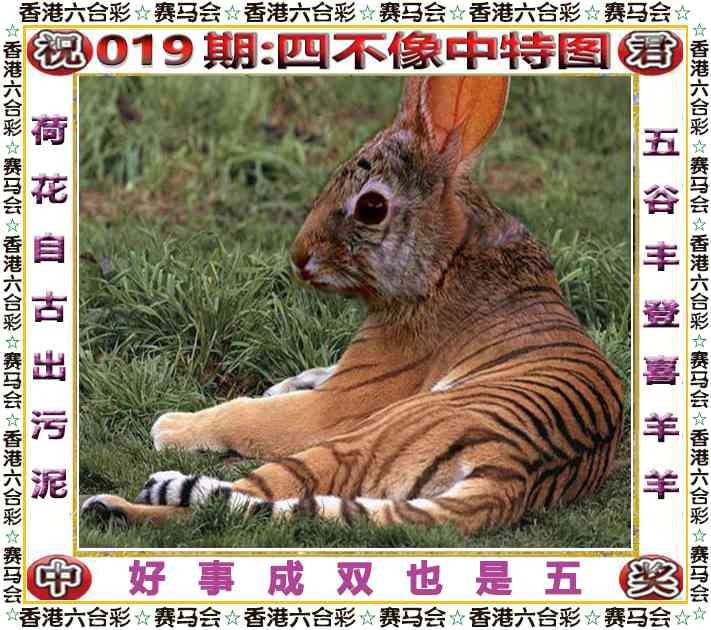 四不像四不像
