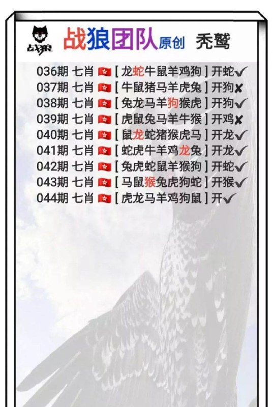 战狼团队战狼团队