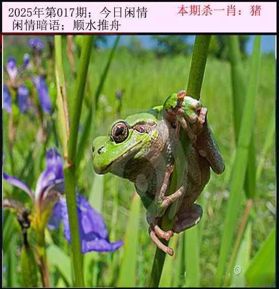 Image from post