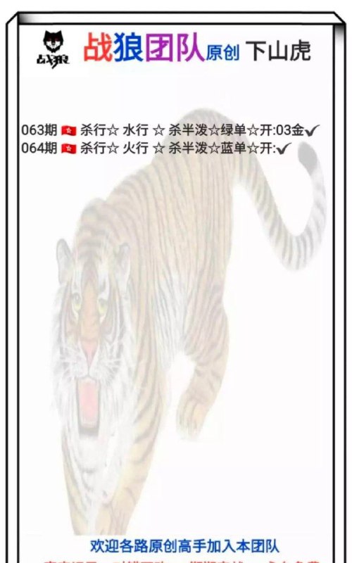 战狼团队战狼团队