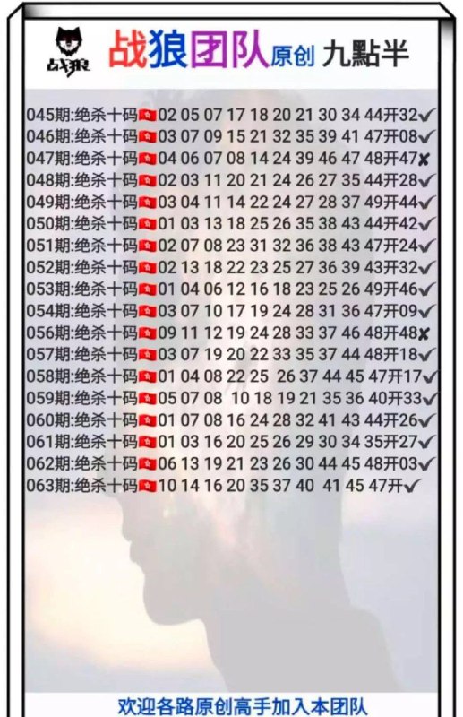 战狼团队战狼团队