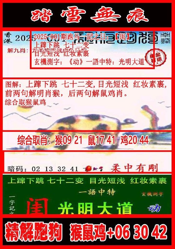 跑狗跑狗