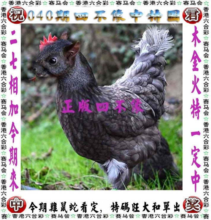 四不像四不像