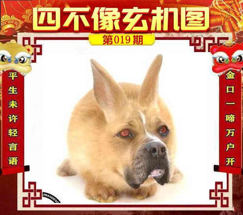 四不像四不像
